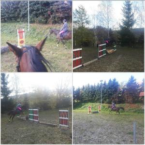 Fotografia z galérie ubytovania Osada Konna ASSANYA Rezydencja Assanya v destinácii Ujanowice