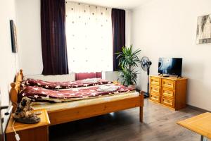 TV a/nebo společenská místnost v ubytování Elekes Apartmans