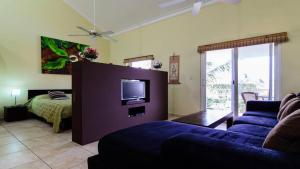 a living room with a couch and a tv and a bed at Ocean Dream 3d floor studio w/balcony in Cabarete