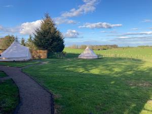 deux tentes dans un champ herbeux avec clôture dans l'établissement Roslin Glamping, à Roslin