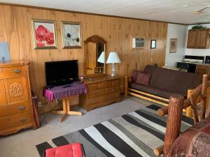 a living room with a couch and a tv at Phillips Historic Motel & Cottages in Robbinsville