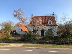 a large white house with a red roof at Horse and Hound in Riethoven