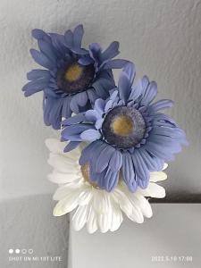 trzy niebiesko-białe kwiaty na suficie w obiekcie KALLITHEA Nastro Azzurro w mieście Kallithea