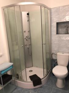 a shower stall in a bathroom with a toilet at SWEET HOME in Krásná Lípa