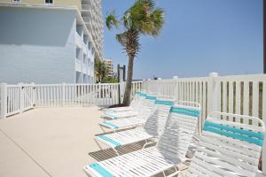 a row of chaise lounge chairs on a balcony with a palm tree at East End Escape in Myrtle Beach