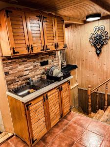 - une cuisine avec un évier et un comptoir dans l'établissement Willa Zacisze, à Zakopane