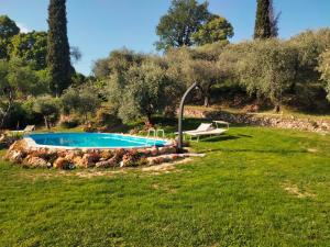 una piscina en un patio de césped con árboles en Agriturismo B&B Le Casette sul Garda en Cavaion Veronese