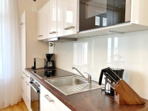 una cucina con lavandino e piano di lavoro di Villa Jenny Sassnitz Villa Jenny - Appartement 3 a Sassnitz