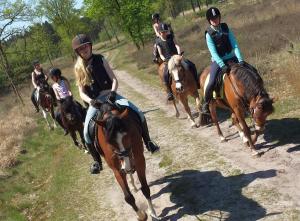 een groep mensen die paardrijden over een onverharde weg bij Horsetellerie Rheezerveen in Hardenberg