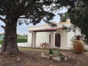 una piccola casa bianca con un albero di fronte di Villino zia Rosy a Ostuni