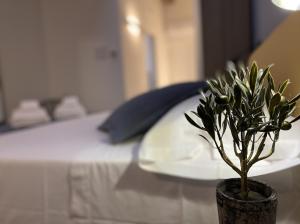 una pianta in un vaso su un tavolo accanto a un letto di L'Ulivo Comfort Rooms a Terrasini