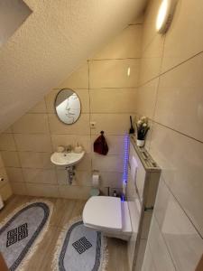 a small bathroom with a toilet and a sink at Ferienhaus Larina in Cochem +12 photos