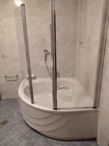 a bath tub with a shower in a bathroom at Family Apartment Maria in Matulji