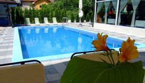 basen w hotelu z krzesłami i kwiatem w obiekcie Devedzic w mieście Vrnjačka Banja