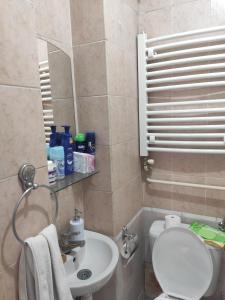 uma pequena casa de banho com WC e lavatório em Marger apartment em Niš