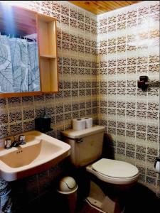 un baño con inodoro y lavabo en Increíble finca en felidia, en Cali 25 fotos más