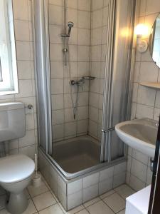 a bathroom with a shower and a toilet and a sink at To Hus, Reihenhaus 7 in Kellenhusen