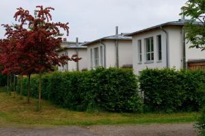 ein weißes Haus mit Büschen davor in der Unterkunft Ferienhaus in Heiligendamm mit Sauna & Kamin - [#23967] in Heiligendamm