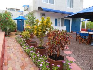 uma fila de vasos de plantas em frente a uma casa em Drake Inn em Puerto Villamil