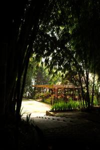 Jardí fora de Kampung Sampireun Resort & Spa