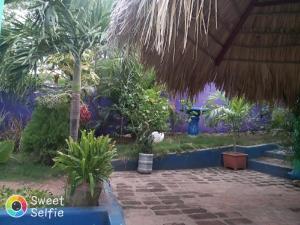 a garden in a resort with trees and plants at La Cascada Hostel & Restaurant in Rivas