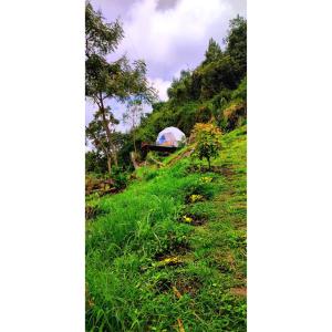 Zahrada ubytování Glamping Mirador de Tibacuy