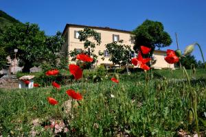 Photo de la galerie de l'établissement Casa Tartufo, à Sassoferrato