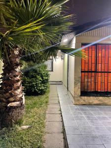 a palm tree in front of a building with a door at Manso de Velasco in Rancagua +2 photos