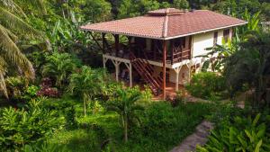 a small house in the middle of a forest at Bluff Beach Retreat in Bocas Town