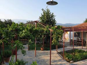 Kép PILIO PARADISE GARDEN szállásáról Koropíban a galériában