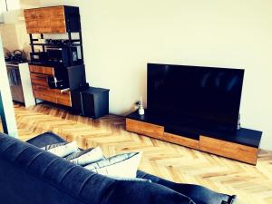 TV a/nebo společenská místnost v ubytování AWAJI OCEAN BASE west coast