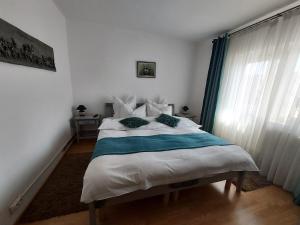 1 dormitorio con cama y ventana en Vintage Central Apartament en Târgu Jiu