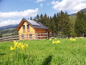 a house in the middle of a field with flowers at Auszeit Steinbauer in Magdalensberg