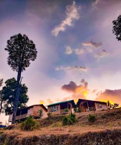 a house on top of a hill with a tree at Golden valley cottages, Chail in Chail
