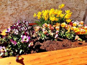 A garden outside Holiday Home Muhr near Katschberg Ski Area