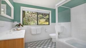 a bathroom with a sink toilet and a window at Tree Scape Retreat in Robertson