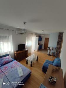 TV a/nebo společenská místnost v ubytování Apartments Vala