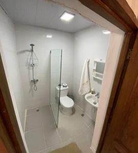 La salle de bains est pourvue d'une douche, de toilettes et d'un lavabo. dans l'établissement Room in Guest room - Central 1bd and Bth with common Picuzzi, à Sosúa