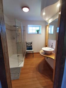 a bathroom with a sink and a glass shower at La ferme de la Terve in Bruailles