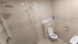 a bathroom with a toilet and a shower at GÓL CENTRUM RESORT in Sabinov