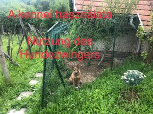 Vonkajšia záhrada v ubytovaní Csobánc Szerelem-Nemzeti Park-Önalló Ház - klimatizált