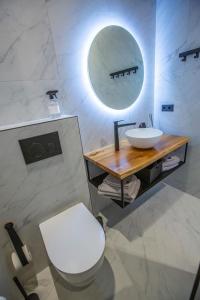 uma casa de banho com um WC, um lavatório e um espelho. em Suite 105 em Maastricht