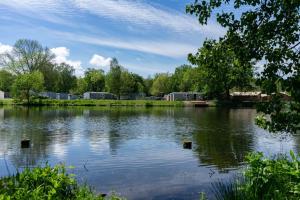 阿姆斯特尔芬EuroParcs Het Amsterdamse Bos的一座大湖,有树木和房屋的背景