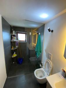 La salle de bains est pourvue de toilettes et d'un lavabo. dans l'établissement Villa Shuaipaj, à Gjirokastër