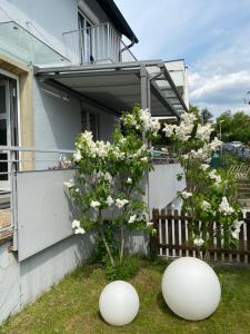 Φωτογραφία από το άλμπουμ του Hotel Sonnenhof στο Σίντελφινγκεν