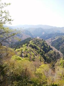 Φυσικό τοπίο κοντά σε αυτός ο ξενώνας
