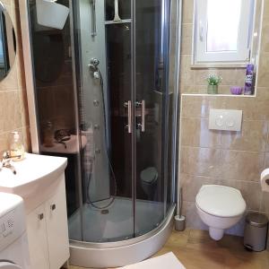 a bathroom with a shower and a toilet at Apartment Katerina in Supetar +16 photos