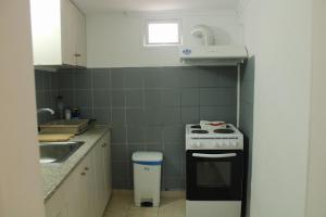 a small kitchen with a stove and a sink at PENELOPE'S STREET OLD HOUSE in Lefkada