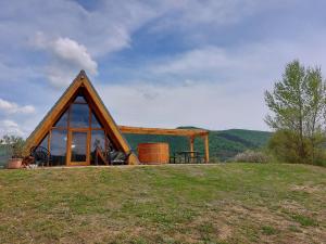 a house on top of a grassy hill at Edelin Lake House in Szögliget