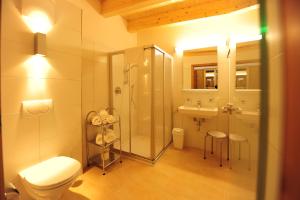 a bathroom with a shower and a toilet and a sink at AlpeLux Appartement an der Skipiste in Jerzens +26 photos